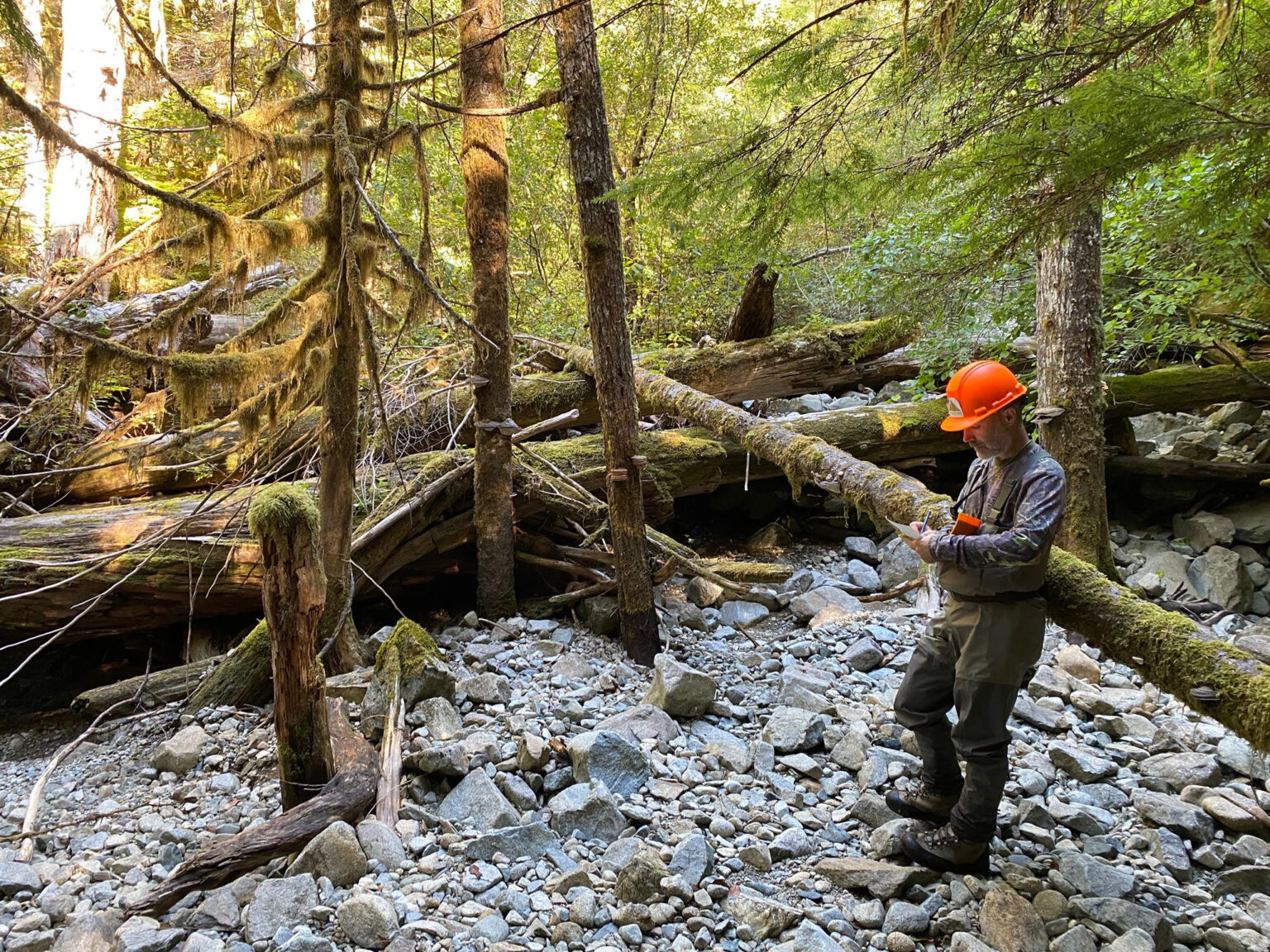 Biology - Madrone Environmental Services Ltd